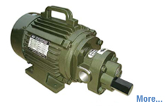 Mono Block Rotary Gear Pump