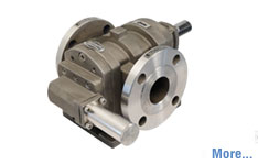 SS Rotary Twin Gear Pump