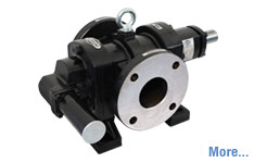 Rotary Twin Gear Pump